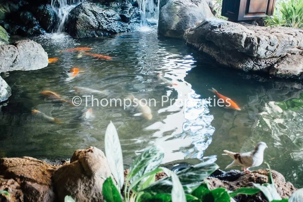 Aloha Suite 1 Bed 1 Bath Sleeps 4 Honolulu 0*,